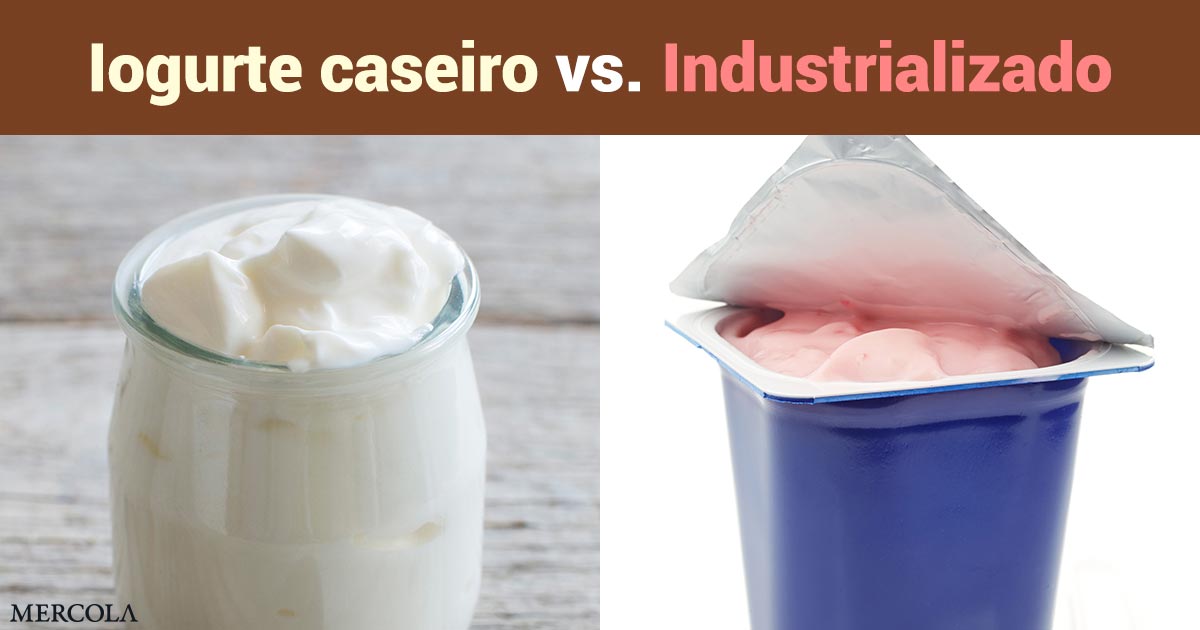 Iogurte grego natural caseiro ou industrializado: qual a melhor opção e por quê?