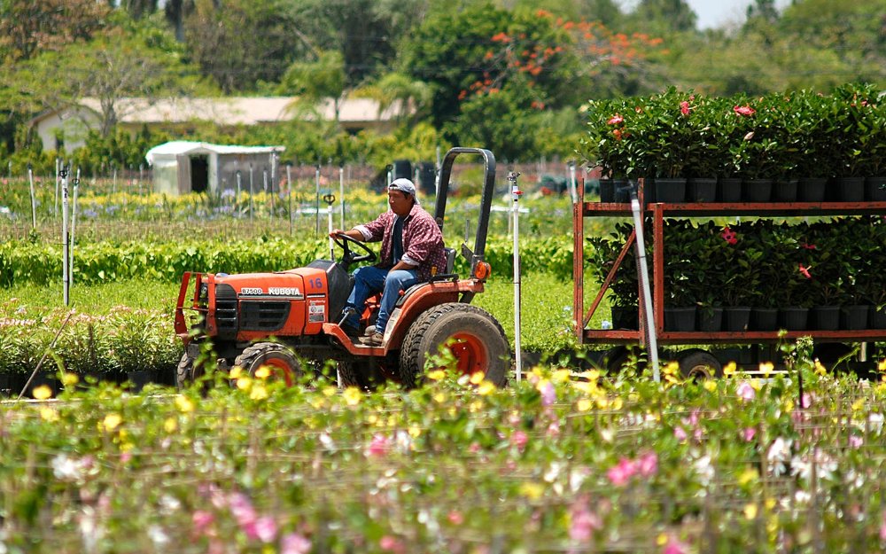 Agroturismo nas melhores fazendas: Descubra opções perto de você!