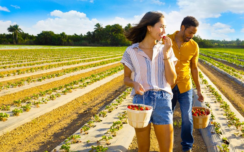 Agroturismo nas melhores fazendas: Descubra opções perto de você!