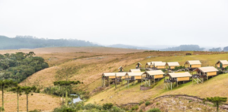Agroturismo nas melhores fazendas: Descubra opções perto de você!