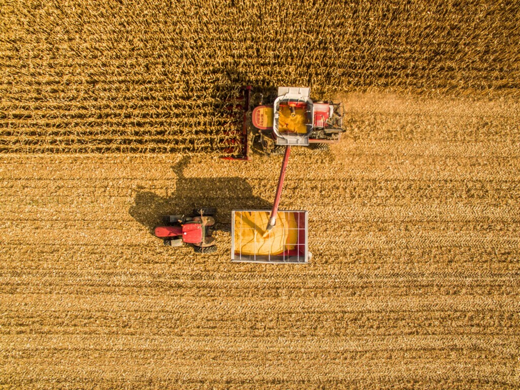 Farmland Loja: Onde Comprar Terras Agrícolas com Preço Justo