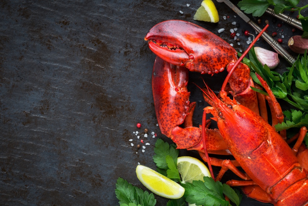 Lagostin faz mal? Mitos e verdades sobre comer esta iguaria!