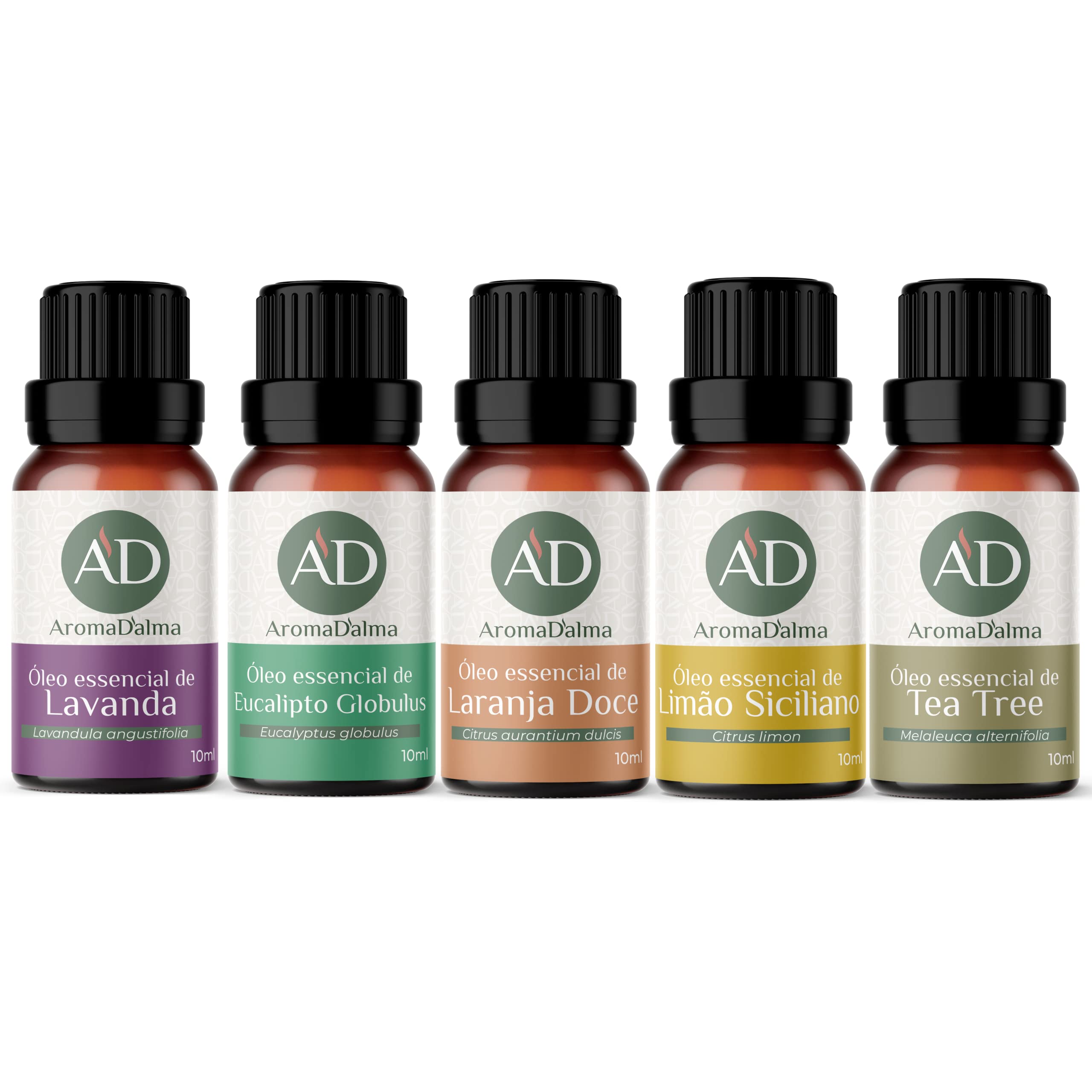 Kit essencial como escolher? Veja dicas práticas para comprar bem!