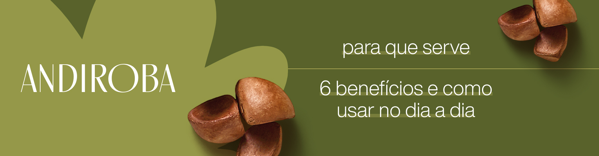 Para que serve andiroba oleo: Usos do produto amazônico (alivia dores e inflamações)